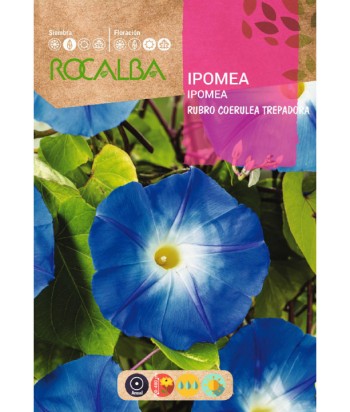 IPOMEA RUBRO COERULEA TREPADORA 10GR ROCALBA