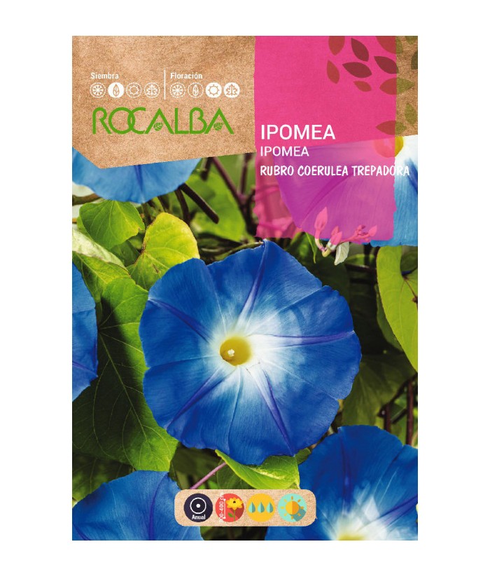 IPOMEA RUBRO COERULEA TREPADORA 10GR ROCALBA IPOMEA RUBRO COERULEA TREPADORA 10GR ROCALBA