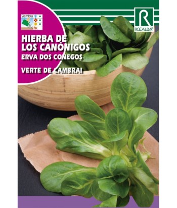 CANONIGOS VERTE CAMBRAI 6GR ROCALBA 