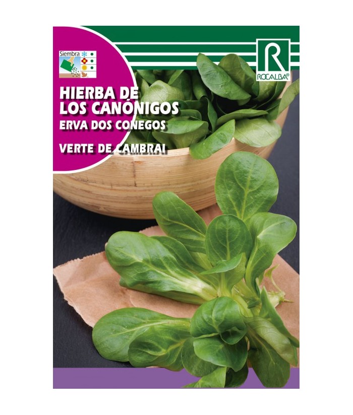 CANONIGOS VERTE CAMBRAI 6GR ROCALBA 