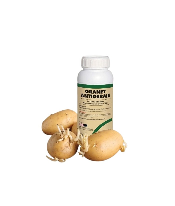 GRANET ANTIGERME 500CC MASSO PATATAS GRANET ANTIGERME 500CC MASSO PATATAS