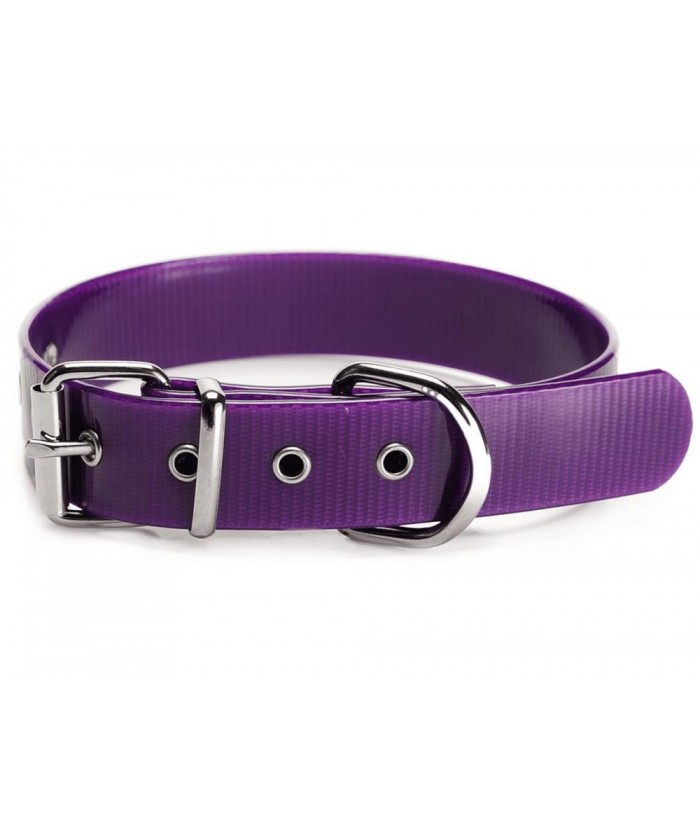 COLLAR BIOTANO 25MM 50CM MORADO COLLAR BIOTANO 25MM 50CM MORADO