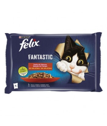 FELIX FANTASTIC SOBRES 4x85GR CARNES