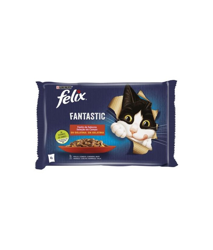 FELIX FANTASTIC SOBRES 4x85GR CARNES FELIX FANTASTIC SOBRES 4x85GR CARNES