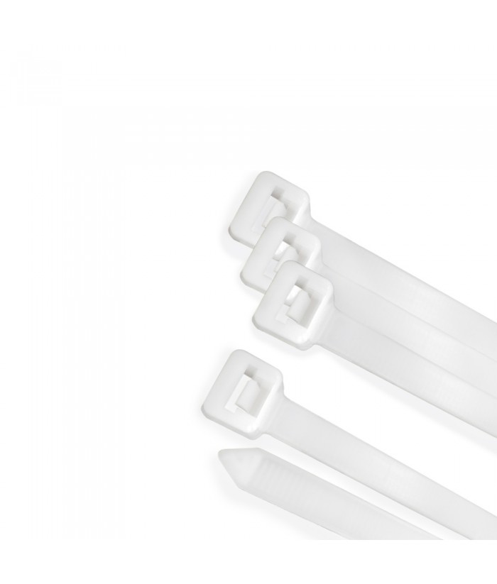 BRIDA NYLON 2 5x160MM 100UDS BLANCA