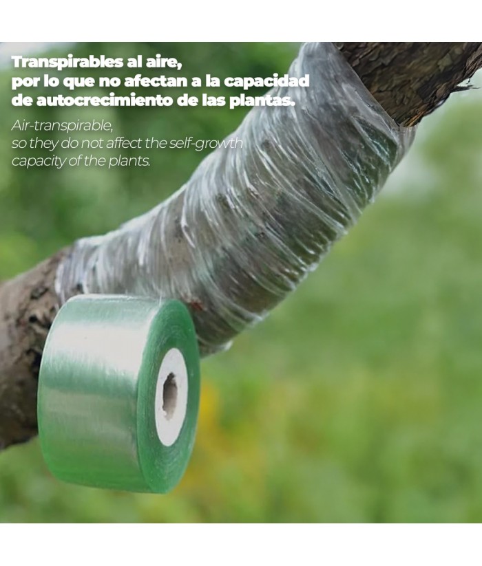 CINTA INJERTAR ELASTICA 30MM x 100M 