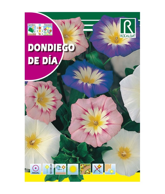 DONDIEGO DE DIA 10GR ROCALBA