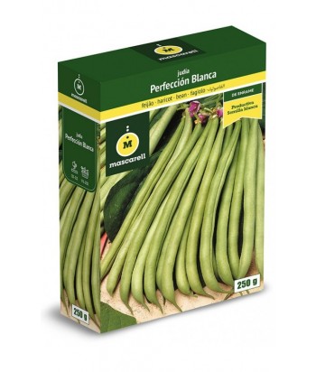 JUDIA PERFECCION BLANCA 100GR