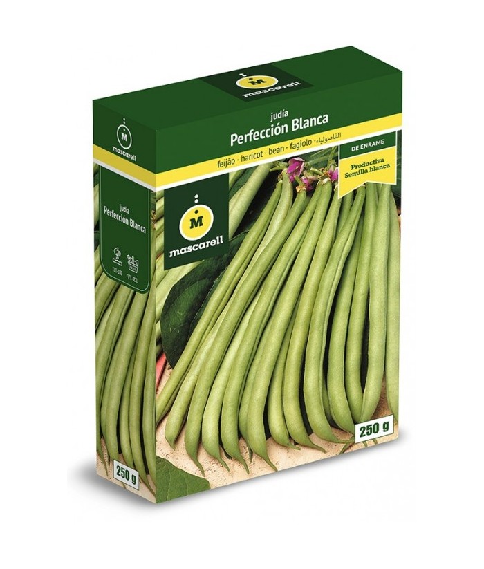 JUDIA PERFECCION BLANCA 100GR