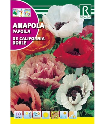 AMAPOLA CALIFORNIA DOBLE 2GR ROCALBA