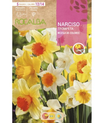 BULBO NARCISO TROMPETA MEZCLA 5UDS CAL 12/14