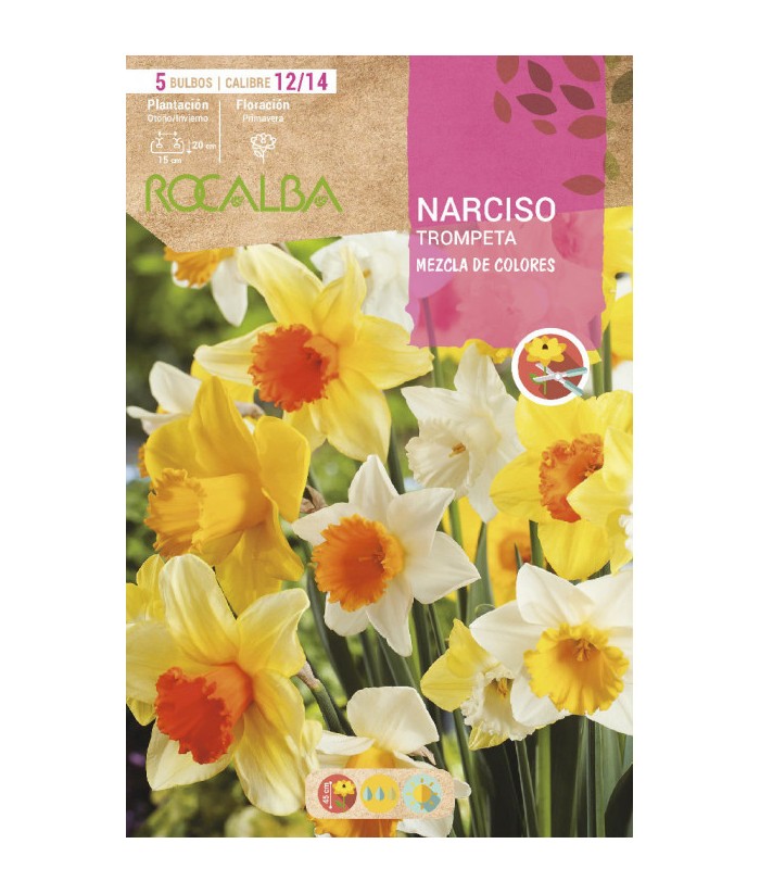 BULBO NARCISO TROMPETA MEZCLA 5UDS CAL 12/14