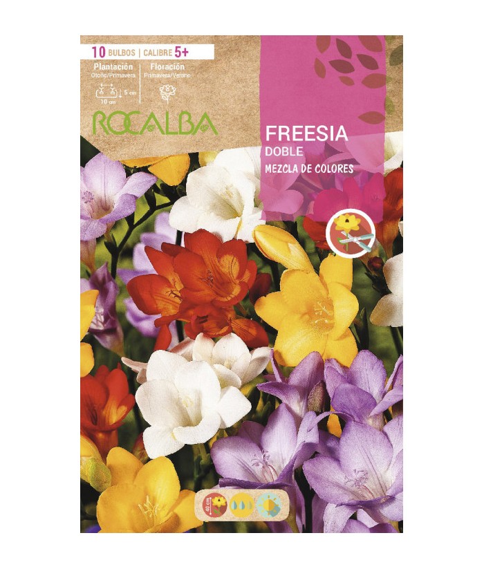 BULBO FREESIA DOBLE MEZCLA BOLSA 10UDS ROCALBA