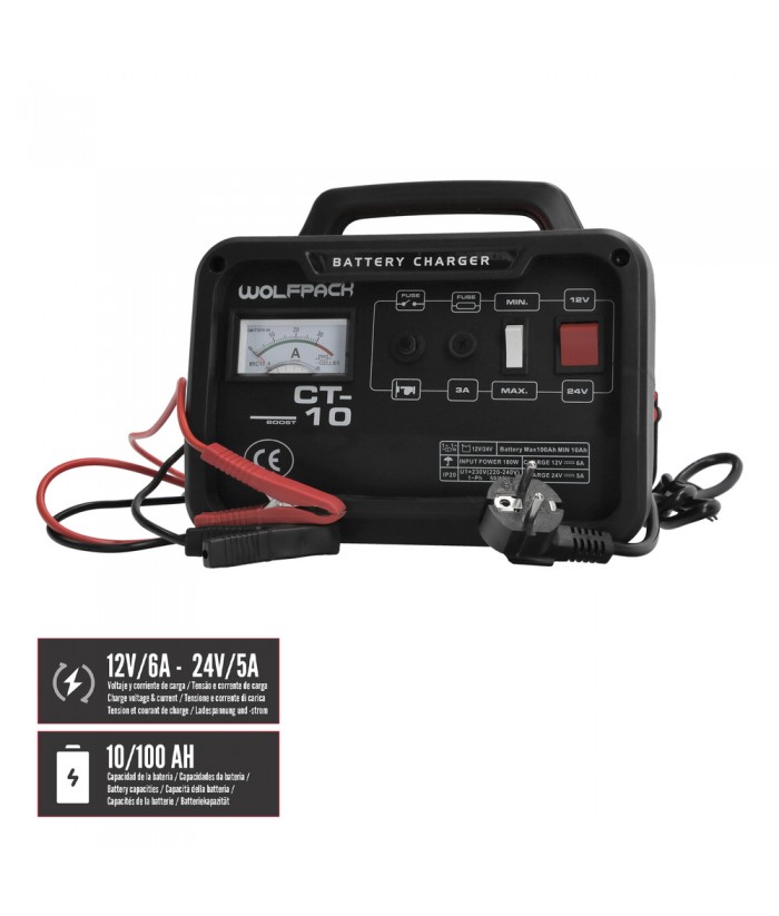 CARGADOR BATERIAS 12-24V 10-100AH WOLFPACK
