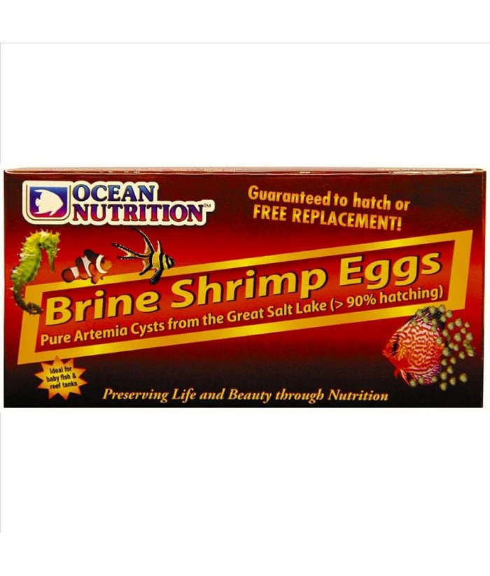 HUEVOS ARTEMIA 50GR OCEAN NUTRITION BRINE SHRIMP