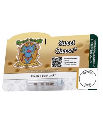 SWEET SEEDS SWEET CHEESE FEM 5 2UDS