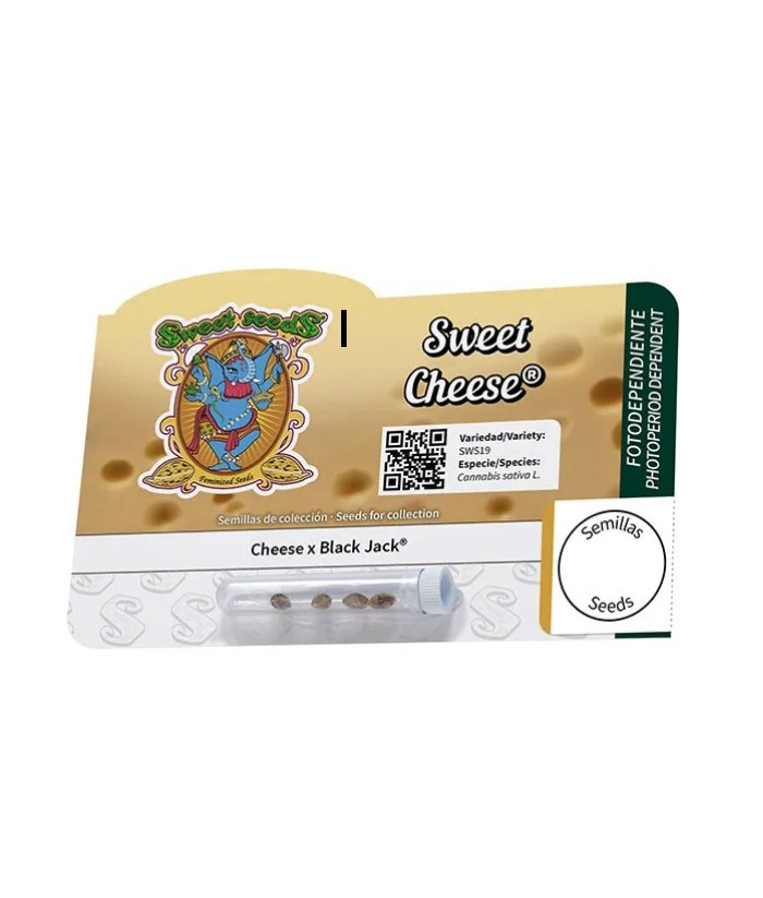 SWEET SEEDS SWEET CHEESE FEM 5 2UDS
