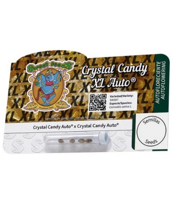 SWEET SEEDS AUTO CRYSTAL CANDY XL 3 1UDS
