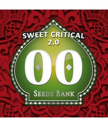 00 SEEDS SWEET CRITICAL FEM 3UDS
