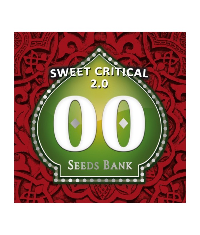 00 SEEDS SWEET CRITICAL FEM 3UDS