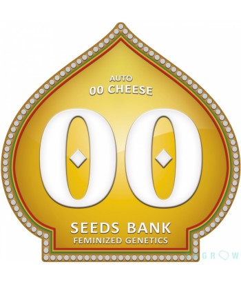 00 SEEDS AUTO 00 CHEESE 5UDS