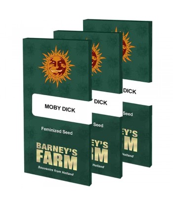 BARNEY`S FARM MOBY DICK FEM 3UDS