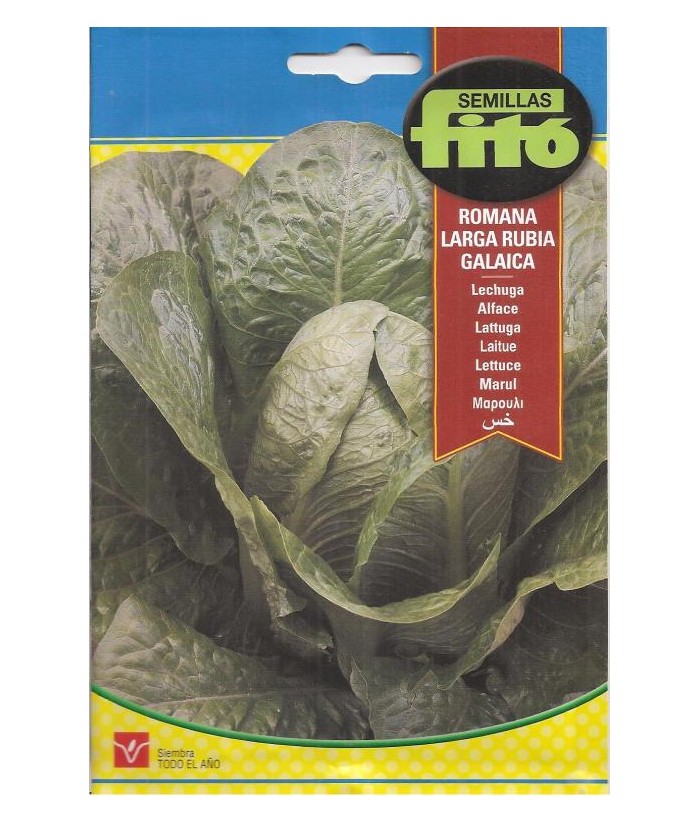 LECHUGA ROMANO LARGA RUBIA S/P GALAICA 8GR FITO