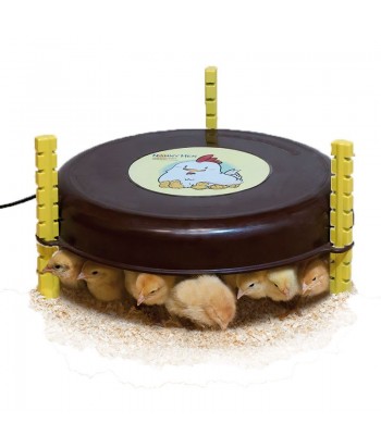 CALEFACTOR POLLITOS NANNY HEN 36W COPELE