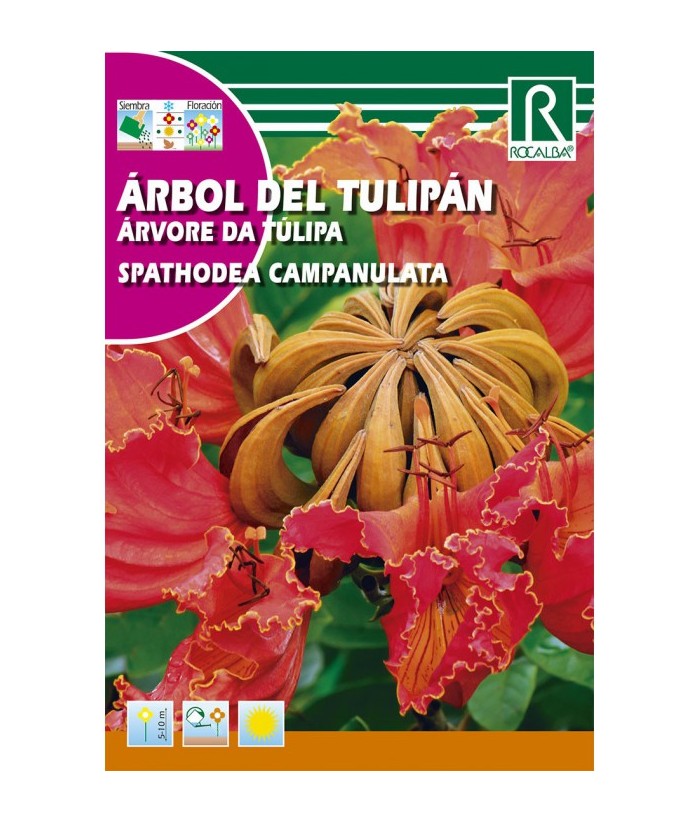 ARBOL DEL TULIPAN 0 5GR ROCALBA