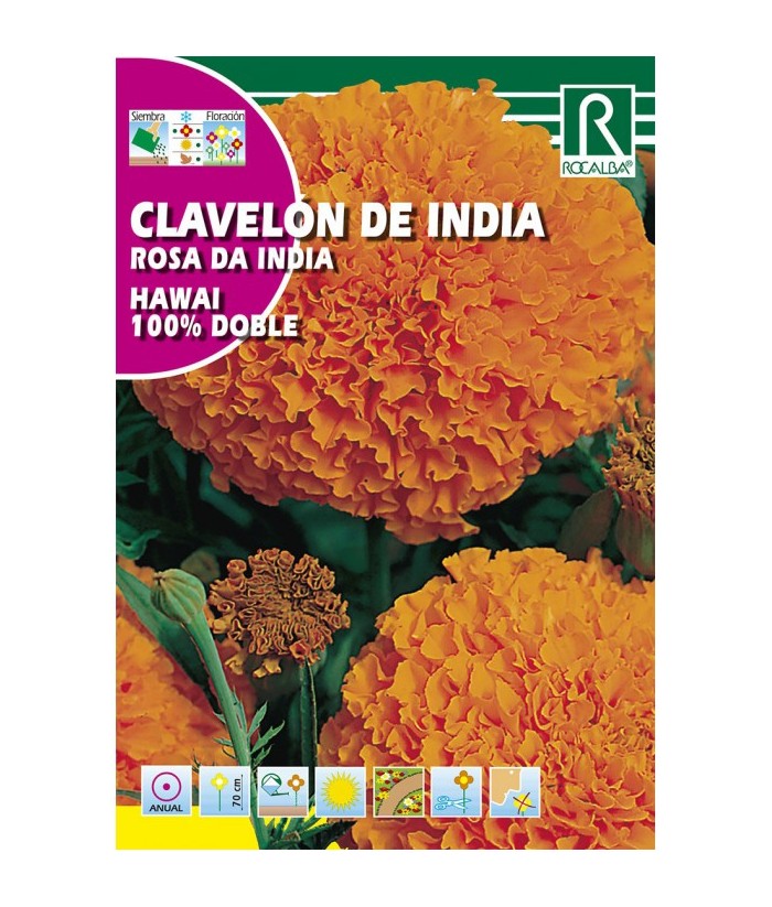 CLAVELON DE INDIA HAWAI 4GR ROCALBA