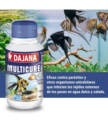 MULTICURE 100ML DAJANA ICA