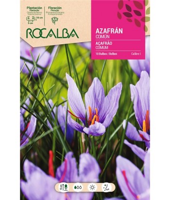 BULBO AZAFRAN COMUN 10UDS CAL I ROCALBA