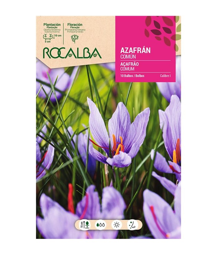 BULBO AZAFRAN COMUN 10UDS CAL I ROCALBA