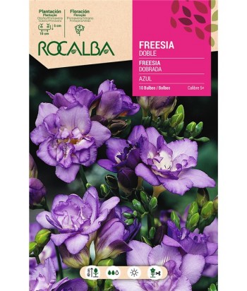 BULBO FREESIA DOBLE AZUL BOLSA 10UDS ROCALBA