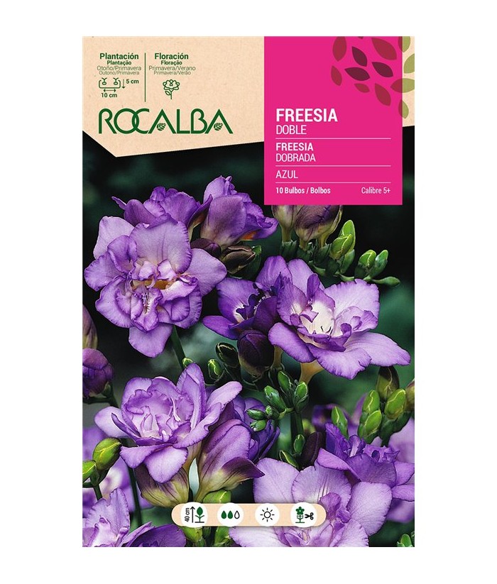 BULBO FREESIA DOBLE AZUL BOLSA 10UDS ROCALBA