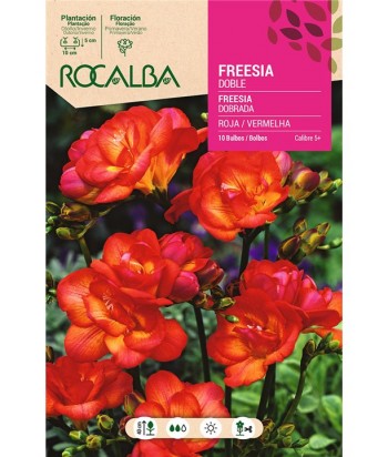 BULBO FREESIA DOBLE ROJA BOLSA 10UDS ROCALBA