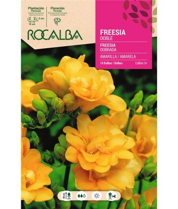 BULBO FREESIA DOBLE AMARILLA BOLSA 10UDS ROCALBA