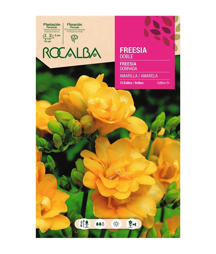 BULBO FREESIA DOBLE AMARILLA BOLSA 10UDS ROCALBA
