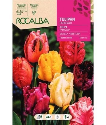 BULBO TULIPAN PAPAGAYO MEZCLA COLORES 5UDS ROCALBA