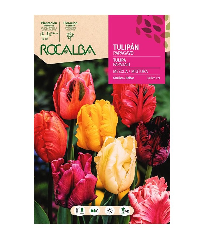 BULBO TULIPAN PAPAGAYO MEZCLA COLORES 5UDS ROCALBA