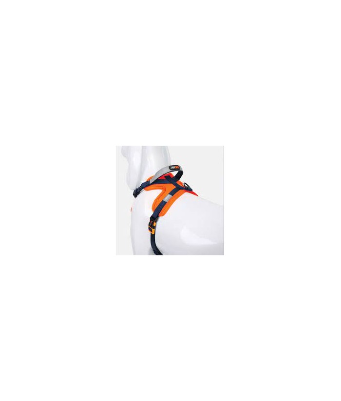 ARNES NEOPRENO T-M 1 5x45-61CM NARANJA/AZUL